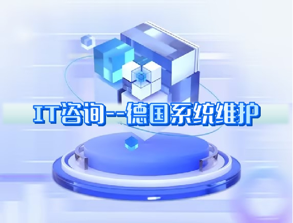 IT咨詢---德(dé)國(guó)系統維護