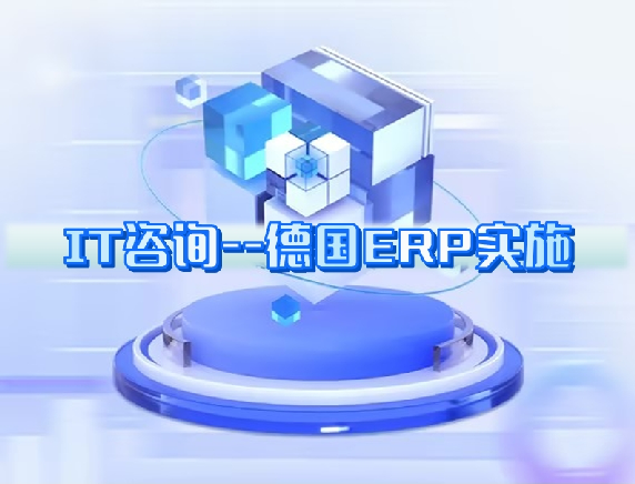IT咨詢---德(dé)國(guó)ERP實施